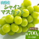 【ふるさと納税】やまがたのぶどう シャインマスカット 10月 秀品 約700g(1～2房程度) 【令和6年産先行予約】FS23-817 山形 山形県 山形市 フルーツ 果物 くだもの 送料無料 ぶどう 葡萄 ブドウ シャインマスカット