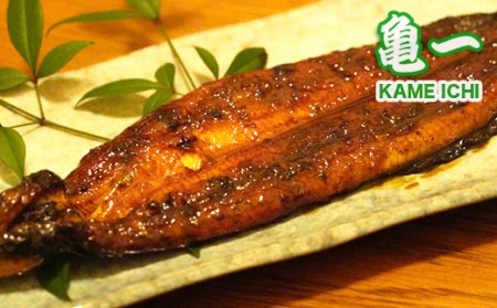 鰻 蒲焼 2尾 240g うなぎ 愛南 鰻