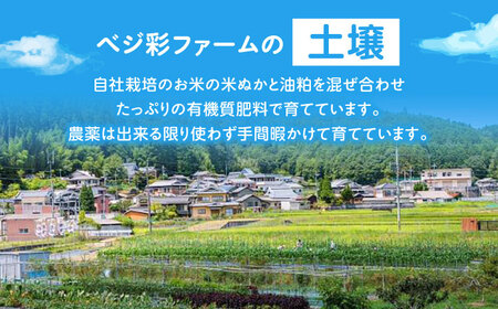 【全3回定期便】 米ぬかで育てた！旬のお野菜セット 詰合せ 詰め合わせ 新鮮 産地直送 おまかせ やさい 野菜セット 大阪府高槻市/ベジ彩ファーム[AOEJ005]