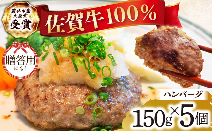 
【農林水産大臣賞】佐賀牛 ハンバーグ 5個セット【田中畜産牛肉店】 [HBH038]
