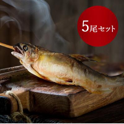 ふるさと納税 さくら市 【鮎の特製炭火焼 5尾セット】