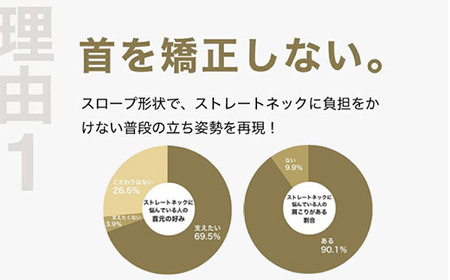 ストレートネックに悩む人向け枕 THE PILLOW Preset 03 Straight Neck