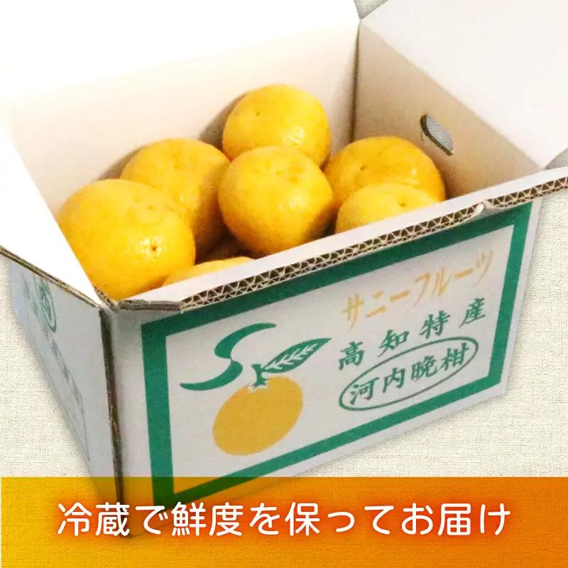 河内晩柑 5kg 家庭用 訳あり 西尾農園の晩柑 晩柑