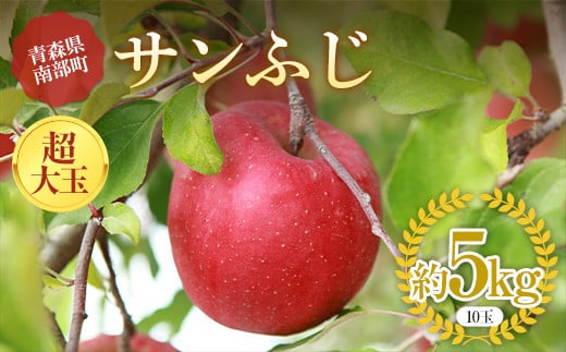 
            青森りんご サンふじ 特選品 (超大玉) 約5kg (10玉) 【マルス果樹園】 ふじ りんご リンゴ 林檎 アップル 果物 くだもの フルーツ あおもり 青森 青森県 南部町 三戸 南部 F21U-373
          