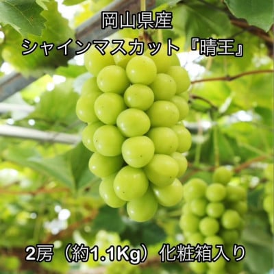 【2026年発送】岡山県産 シャインマスカット『晴王』2房(約1.1kg)化粧箱入り【配送不可地域：離島】【1710834】
