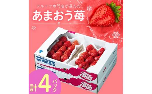 
フルーツ専門店が選んだ「あまおう苺」冬4パック(大野城市)【1083236】
