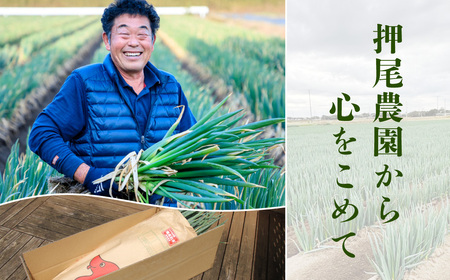 【山武市限定栽培】泥ネギでドドンと配送！ミネラル豊富で甘みたっぷりの「海水ネギ」７kg以上 / 地元の道の駅オライはすぬまで大人気の農家から直送! 【発送期間は12月～2月】 / 地元の道の駅オライは