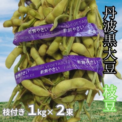 丹波黒大豆　枝付き枝豆1kg×2束　コクと甘味そしてもっちりした食感をお試しください【配送不可地域：離島】