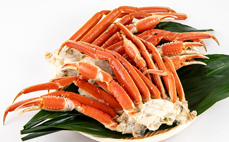 訳アリボイル本ズワイガニ肩 1.3kg【配送不可地域：離島】【1607630】