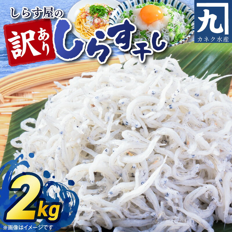 【ふるさと納税】訳あり しらす干し 2kg 大きめ 家庭用 数量限定 ふっくら 天日塩 しらす屋のしらす干し 鮮度 大浜漁港 伊勢湾 サイズ大きめ 味濃いめ ちりめんモンスター チリモン しらす丼 冷凍 国産 お取り寄せ 愛知県 碧南市 送料無料