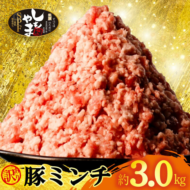 【ふるさと納税】 訳あり ミンチ 豚肉 3kg 豚ミンチ 小分け （500g×6P）10000円 一万円 豚 国産 ひき肉 挽肉 挽き肉 国産豚 精肉 ジューシー ハンバーグ 餃子 そぼろ 麻婆豆腐 送料無料 冷凍 SPF SPF豚 しもやまSPF 千葉県 旭市 有限会社下山農場 usn002