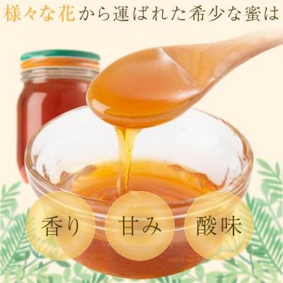 ふるさと納税 肝付町 日本ミツバチ蜂蜜　A51001 |  | 02