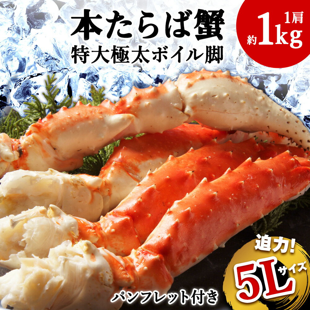 【ふるさと納税】【1肩1kgの極太5Lサイズ】本たらば蟹ボイル脚1kg 海鮮 たらば蟹 たらば タラバガニ カニ 蟹 蟹足 かに脚 北海道 【配送不可地域：離島・沖縄県】