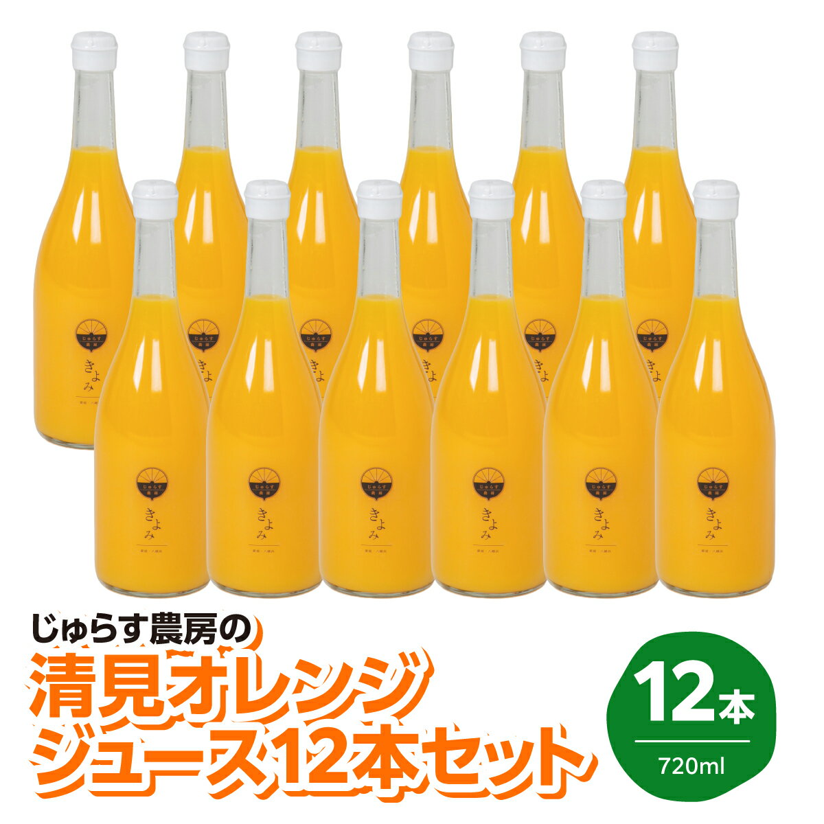 【ふるさと納税】じゅらす農房の清見オレンジジュース12本セット【H32-13】_【1296473】 YWTH012