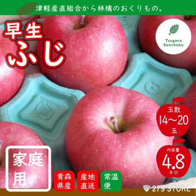 10月初旬頃発送 早生ふじ 家庭用 5キロ箱 4.8kg 14～20玉 津軽りんご 産地直送【配送不可地域：離島】