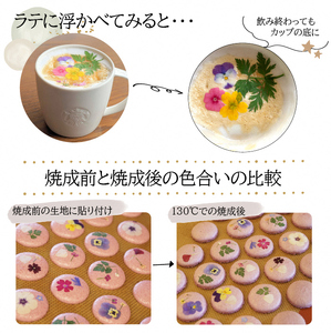 ドライ エディブルフラワー 彩りミックス 20枚　食用花 押し花加工 ケーキ トッピング デコレーション マカロン メレンゲ アイシングクッキー バレンタイン EB-0003