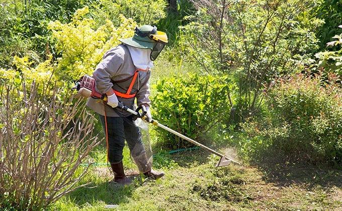 
            【要事前連絡】「お庭の草刈り（50㎡）」サービス＜愛知県日進市内限定＞ [№5229-0378]
          