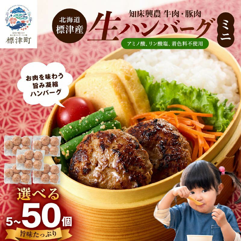 【ふるさと納税】 【無添加】 北海道産 生ハンバーグ ミニ 選べる 5~50個 セット ( 5個 × 1~10パック ) 冷凍 手作り ハンバーグ 国産 保存料不使用 牛肉 豚肉 ギフト お弁当 子ども 安全 惣菜 お手軽 焼くだけ 北海道 標津町 興農ファーム【配送不可地域：離島】