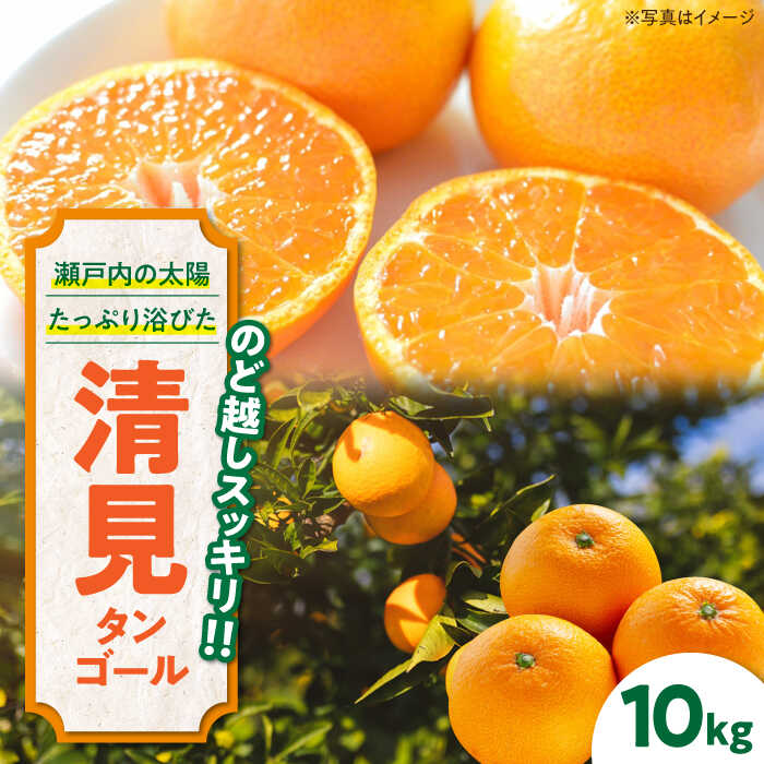 【ふるさと納税】【先行予約】【2026年3月下旬から順次発送】清見タンゴール 10kg | 人気 おすすめ ランキング おいしい 甘い 果物 フルーツ みかん ミカン オレンジ 大洲市/永沼農園[AGAW006] 20000 20000円 以下