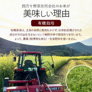 【有機玄米】希少な四万十の香る米 4.8kg（8合×4袋）四万十INEKA（稲華香米）化粧袋仕様 ／Fsg-Z02 ブランド米