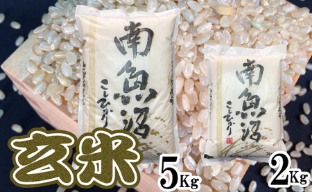 【定期便】玄米 生産者限定 南魚沼しおざわ産コシヒカリ5Kg×6ヶ月