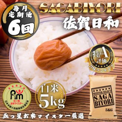 ふるさと納税 多久市 【毎月定期便】さがびより白米5kg(多久市)全6回