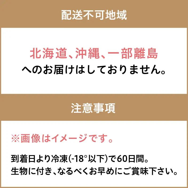 大満足！京丹後・海鮮BBQ　Fセット　豪華盛り合わせ　生ズワイガニ　アワビ付　7種23品（4～5人前）（2026年4月中旬～発送） 魚介類 さざえ 蠑螺 カキ かき かに カニ ずわい蟹 ズワイ蟹 バ