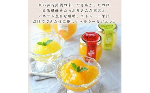 640.伊藤農園 ピュアフルーツ寒天ジュレドリンクタイプ 不知火 12本セット(A640-3)