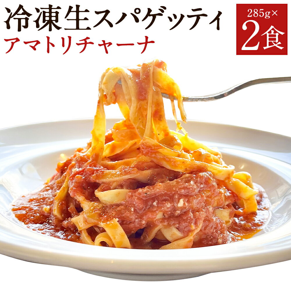 【ふるさと納税】冷凍生スパゲッティ アマトリチャーナ 285g×2食 合計570g 2人前 粉チーズ付き トマトソース パスタ 冷凍パスタ スパゲティ イタリアン 冷凍 送料無料