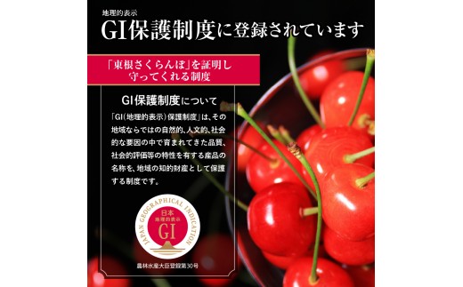【2027年産 先行受付】 GI 東根さくらんぼ 紅秀峰 特秀品 約700g(350g×2P) 2Lサイズ以上 山形県 東根市 ベジフルひがしね hi104-018-r9 さくらんぼ サクランボ フル