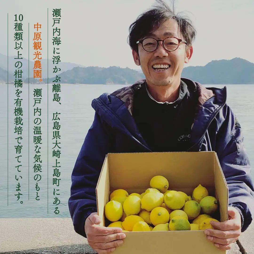 【 先行予約 】 瀬戸内 オーガニック グリーンレモン 5kg (40～50個程度) 【2026年10月以降発送】