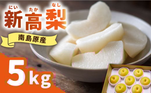 【2025年9月〜発送】【シャリッと食感がたまらない！】新高梨 5kg (玉数おまかせ) / 梨 なし ナシ フルーツ 果物 / 南島原市 / ふるさと企画 [SBA012]