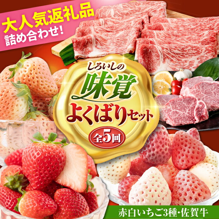 【ふるさと納税】【R8年2月以降発送】【全5回定期便】しろいしの味覚セットよくばりセット（赤白いちご3種と佐賀牛）/ いちご苺 果物 フルーツ 黒毛和牛 A4 A5 ブランド牛 佐賀県 白石町 [IZZ026]