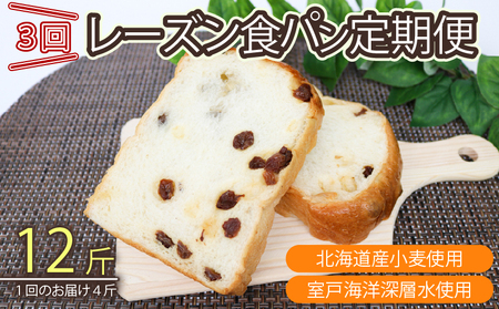 3回 定期便 レーズン食パン 海洋深層水食パン 4斤 [ロマンド 高知県 rm009]
