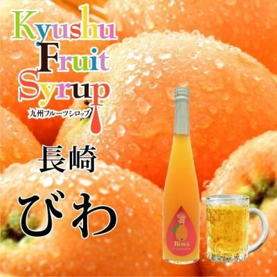 ふるさと納税 水俣市 九州を飲む! 九州果実 シロップ びわ 500ml 1本 【福田農場】