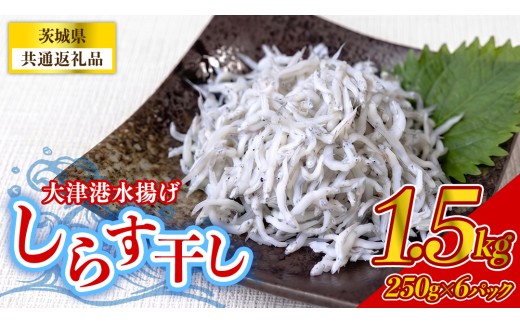 大津港水揚げしらす干し 1.5kg(250g×2パック×3箱) (茨城県共通返礼品:北茨城市) 冷凍  小分け パック 少量 水揚げ ごはん ご飯 丼 海鮮 魚 名物 グルメ 茨城県 魚介類 ちりめん シラス しらす じゃこ サラダ ふるさと納税 人気 料理（BC007）