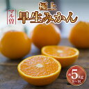 【ふるさと納税】三豊市産　極上【マル曽　早生みかん約5kg】S～Mサイズ 14000円