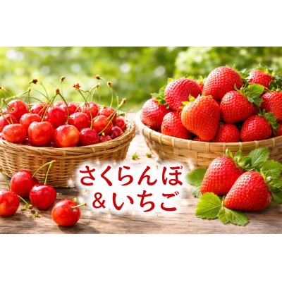 
                  ＜発送月固定定期便＞長野の果物 いちご+さくらんぼ　全2回【4085408】
                