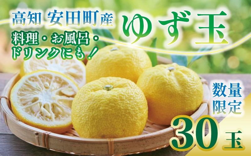
                  【先行予約】 安田町産 ゆず玉 料理にお酒にお風呂にどうぞ 期間限定 ゆず 30玉 柚子 果物 柑橘 フルーツ スイーツ デザート アレンジ 柚子風呂 ゆず風呂 柚子湯 早期予約 季節限定 ふるさと納税 人気 クリスマス 年末年始 人気 プレゼント 高知 安田町 安田川 TR0018_26
                