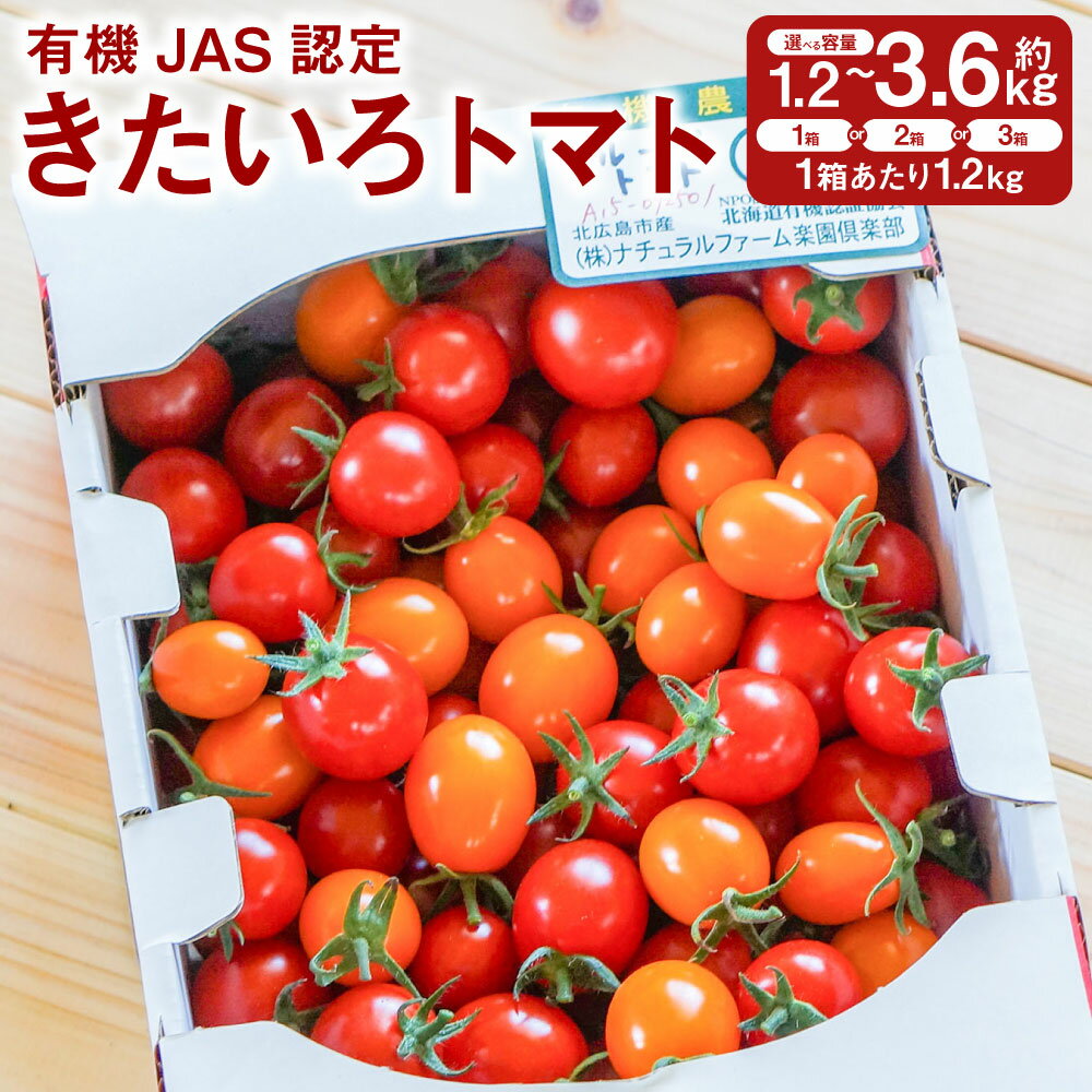 【ふるさと納税】【選べる容量】有機JAS認定 きたいろトマト 1.2kg 2.4kg 3.6kg【2026年7月下旬～9月下旬迄発送予定】ミニトマト みにとまと 野菜 新鮮 北海道 北広島市 送料無料
