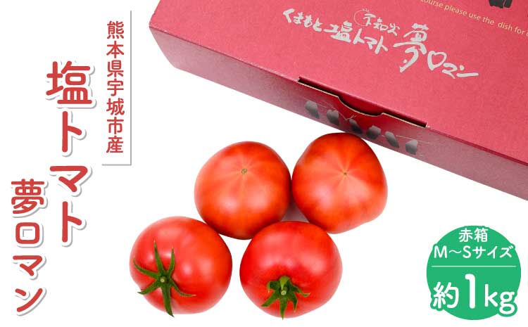 【先行予約】【2026年3月下旬〜6月中旬頃発送予定】塩トマト 夢ロマン 約1kg 赤箱M〜Sサイズ（12〜20玉）