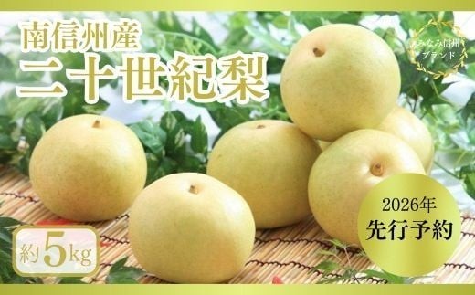 梨 二十世紀 約5kg / 2026年9月上旬～9月下旬頃 配送予定[JA07]//贈答 センサー選別 糖度センサー 梨 なし ナシ 果物 フルーツ ギフト 二十世紀 二十世紀梨 太鼓判