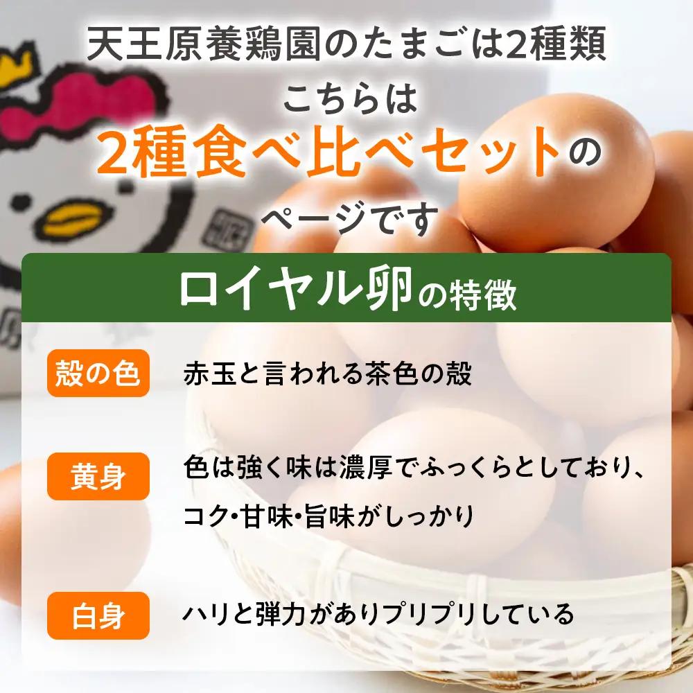 【定期便】６回定期 【天王原のたまご】 サクセス卵30個/ロイヤル卵30個