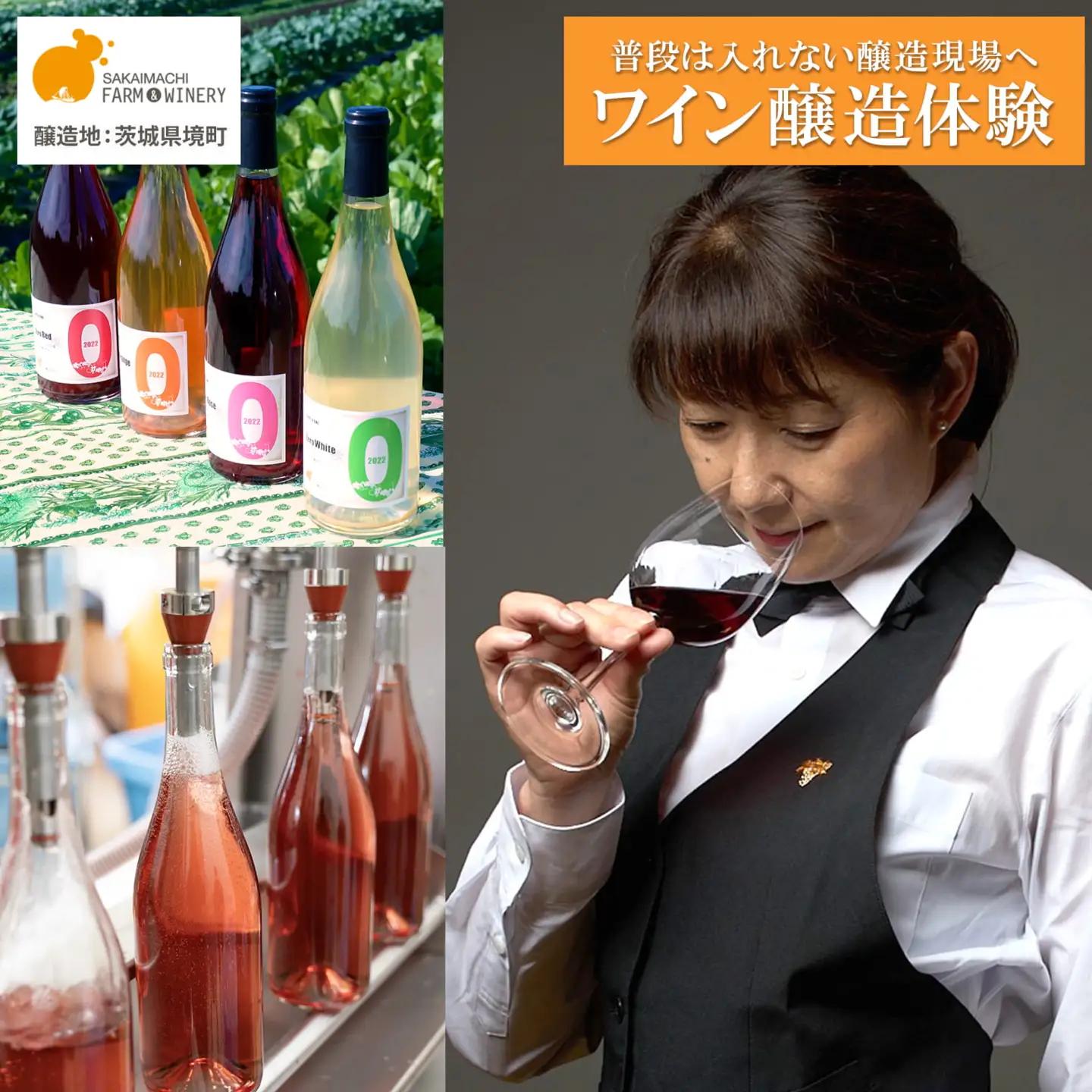 ワイン醸造体験 1名様利用券 ワイン1本付き 酒 お酒 K2711