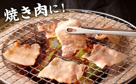 夢やまびこ豚 焼肉セット 1kg 5種類 (ロース・肩ロース・バラ・ヒレ・小間切れ)