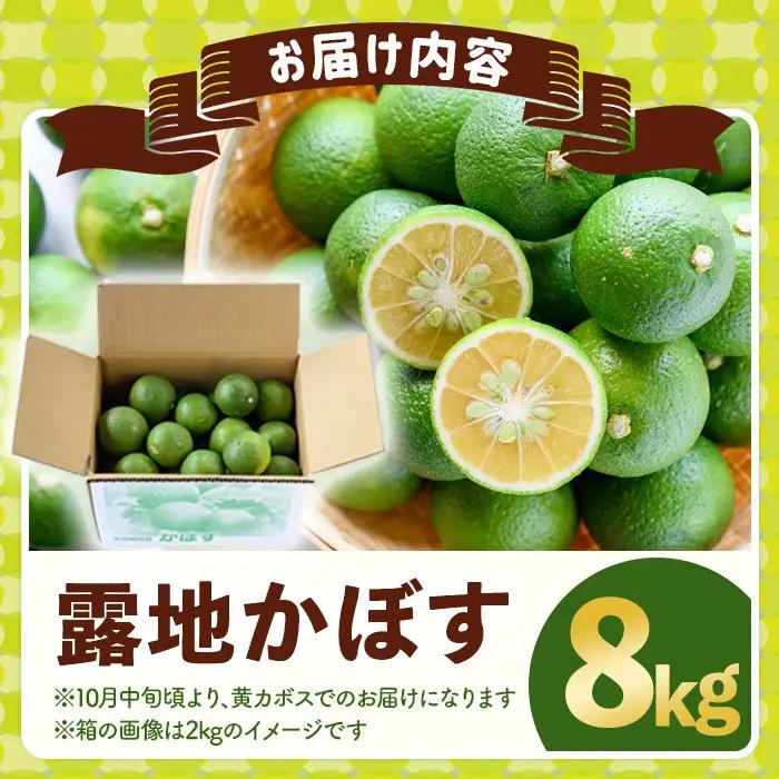 ＜先行予約受付中！2026年8月上旬以降順次発送予定＞露地カボス(約8kg)かぼす カボス 柑橘 特産品 大分県産【107100703】【あいはな農園】
