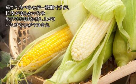 【先行予約】【旭川産】白と黄色のとうもろこしセット　各5本（計3.5kg）(2024年8月上旬発送開始予定)