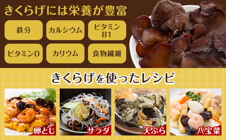 乾燥きくらげ 100g 鷹乃産業有限会社 《30日以内に出荷予定(土日祝除く)》熊本県 球磨郡 山江村 きくらげ きのこ 野菜---sy_takaksk_30d_25_10500_100g---