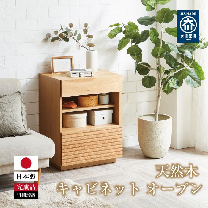 【ふるさと納税】ENN 60 キャビネット オープン WO