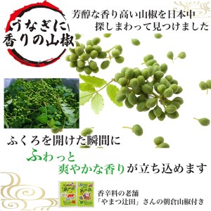 うなぎ蒲焼き&白焼きセット（蒲焼き：１６０ｇ×１・白焼き：１６０ｇ×１）_AT04◇